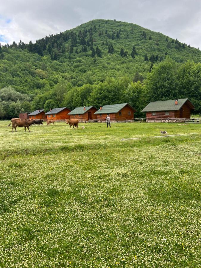 Farma Sotira Hotell Leskovik Eksteriør bilde
